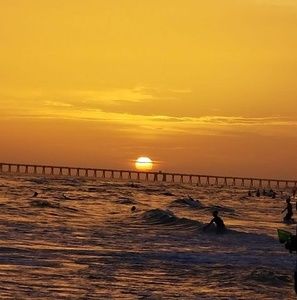 Meet your Posher, Andrea barnes